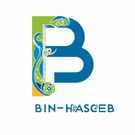 BIN-Haseeb