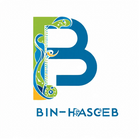 BIN-Haseeb